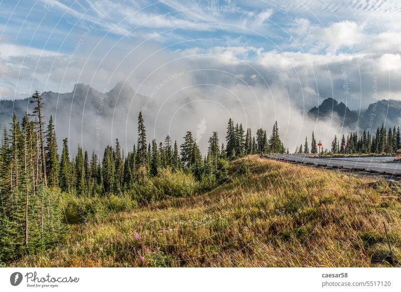 Großartige paradiesische Landschaft rund um den Mount Rainier National Park Berge u. Gebirge Prima mt Wolken national regnerisch im Freien USA Nationalpark hoch