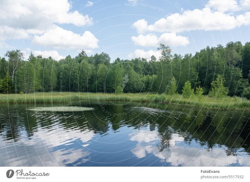 See in grüner Natur mit blauem Himmel und weißen Wolken Wasser Deutschland Land Ausflugsziel Hessen Bäume Anziehungskraft Baum Hintergrund Rotes Moor