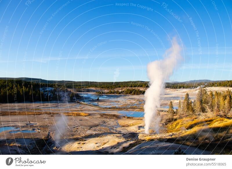 Norris-Geysir-Becken im Yellowstone-Nationalpark, USA Natur Landschaft Verdunstung Wyoming yellowstone Wasser erwärmen Geothermie heiß Yellowstone Nationalpark