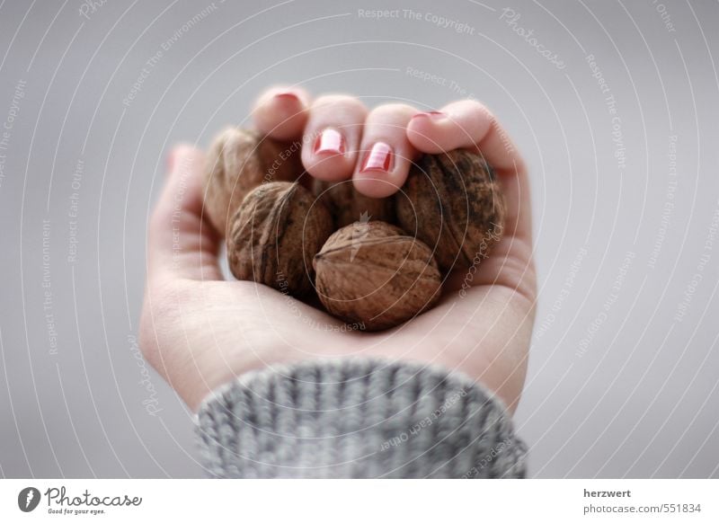 Nüsse für Aschenbrödel Lebensmittel Essen Hand Walnuss Nuss festhalten Farbfoto