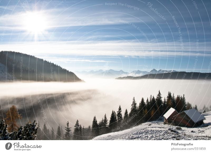 Über der Nebelgrenze Hütte Alm Natur Himmel Sonne Herbst Schönes Wetter Schnee Wiese Wald Alpen Berge u. Gebirge Gipfel Erholung genießen Zufriedenheit