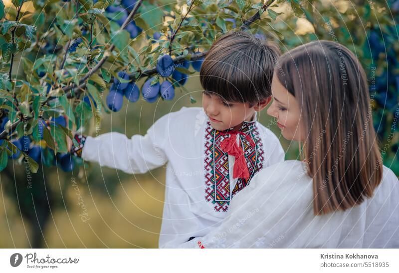 Porträt der schönen ukrainischen Familie 4 Jahre alten Jungen, Mutter in Pflaumengarten Mama Ukrainer Sohn Glück Umarmung Liebe Eltern Pflege Fröhlichkeit