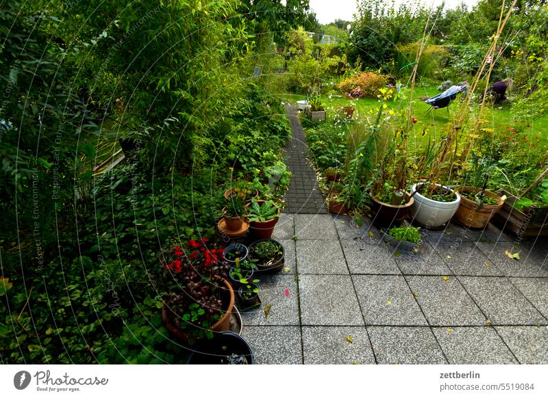 Terrasse im Gärtchen baum blüte dämmerung erholung erwachen ferien garten hecke kleingarten kleingartenkolonie knospe korbblütler menschenleer nachbarschaft