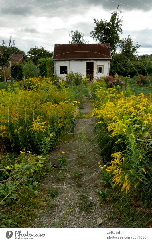 Verwahrloster Kleingarten abend blühen blüte dunkel dämmerung erholung ferien hecke himmel kleingarten kleingartenkolonie knospe menschenleer nachbarschaft