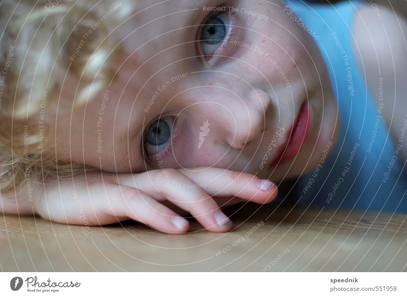 müde? Kindererziehung Kindergarten Junge Kopf Gesicht 1 Mensch 3-8 Jahre Kindheit T-Shirt blond Locken beobachten Denken Blick dreckig klein nah blau Müdigkeit