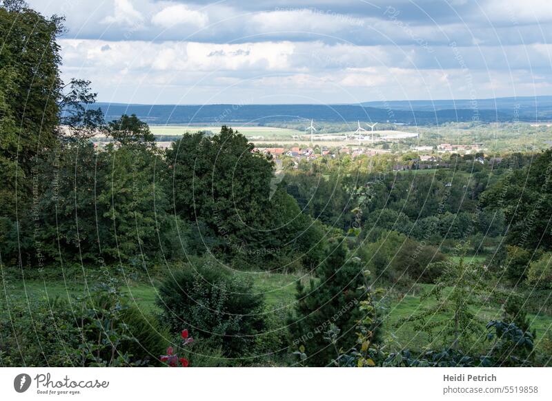 Junge Bäume und Blumen dahinter ein Streifen Gras. Wald schlängelt sich Tal Werts bis die Hüser der Stadt erscheinen, auch Windräder sind zu sehen bis schließlich die nächste Bergkette erscheint.