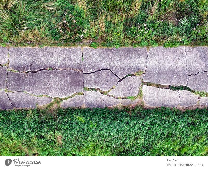 Risse im Asphalt Wiese Alterserscheinung verfallen kaputt Vergänglichkeit Zahn der Zeit altern Verfall Natur Wandel Veränderung Abnutzung abgenutzt brüchig