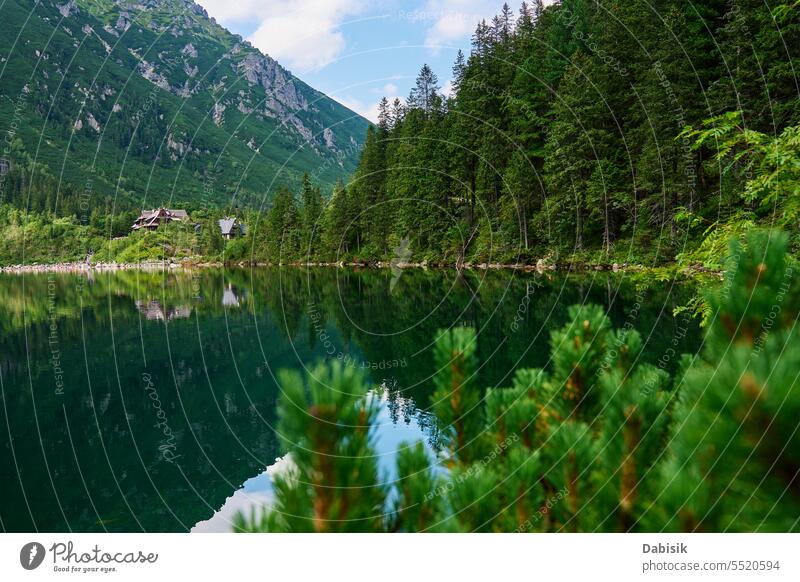 Fichtenwald bei blauem See in den Bergen. Naturlandschaft Morskie Oko Seeauge Wald Landschaft Nationalpark Tatra grün Zakopane im Freien Tag horizontal Polen