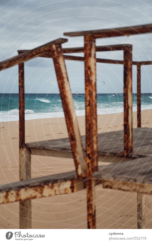 Unter Beobachtung Ferien & Urlaub & Reisen Abenteuer Ferne Freiheit Wassersport Umwelt Natur Landschaft Sand Wellen Küste Strand Meer ästhetisch Bewegung