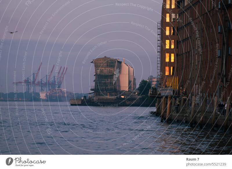 Sonnenaufgang in Hamburg Hafen Blaue Stunde Elbe Hafenstadt Hamburger Hafen Schifffahrt Fluss Außenaufnahme Sehenswürdigkeit Stadt Tourismus Städtereise