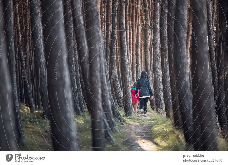 Sommerurlaub in der Natur. Familie beim Spaziergang im Wald. Menschen verbringen aktiv ihre Freizeit. Frau mit Tochter genießen langen Spaziergang während der Sommerzeit