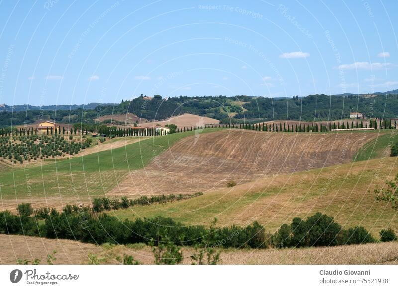 Ländliche Landschaft bei Volterra, Toskana Europa Italien Juni Pisa Ackerbau Ballen Farbe Tag Bauernhof Feld Hügel Natur oliv Fotografie ländlich Sommer reisen