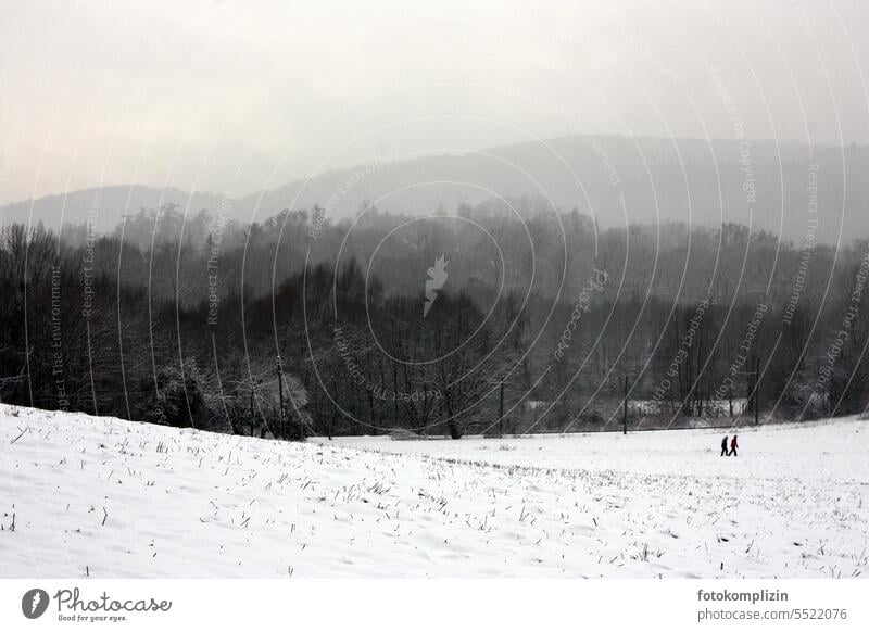 Schneelandschaft Winter Landschaft Spaziergänger wandern Spaziergang kalt Wintertag Kälte Winterspaziergang Winterstimmung Winterwald Winterlandschaft Wald