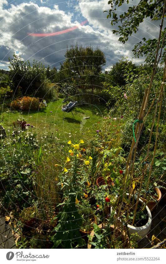 Spätsommerlicher Garten ast baum blühen blüte dunkel dämmerung erholung erwachen ferien garten hecke himmel kleingarten kleingartenkolonie knospe korbblütler