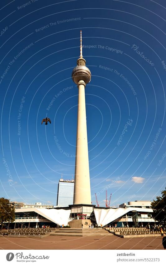 Fernsehturm mit Taube alex Alexanderplatz architektur Berlin büro Großstadt deutschland Fassade fenster froschperspektive funk-und-ukw-turm Gebäude Hauptstadt