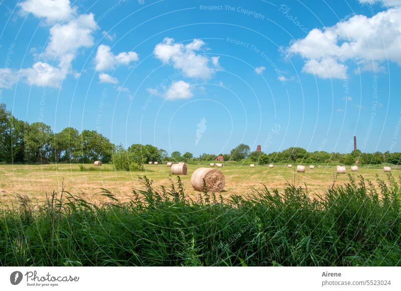 Ernte 23 Sommer Dorf Landschaft sommerlich Stroh Landleben Heu Ziegel landwirtschaftlich Fabrik Landwirtschaft Kamin Ackerbau Ziegelei ländlich Backstein Feld