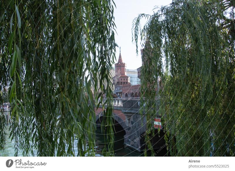 Baum vor Oberbaum Oberbaumbrücke Weide Trauerweide Berlin Brücke Fluss Ufer Turm Backstein Durchblick Blätter grün Zweige Äste Äste und Zweige Zweige u. Äste