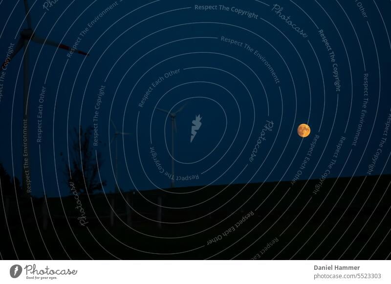 Dunkelblauer Abendhimmel mit einem orange - gelben Vollmond über einem Hügel. Links im Bild drei Windräder und ein junger Baum mit Einfriedung. Vollmondnacht