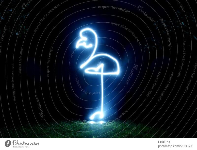 One Line III - Und hier noch ein Flamingo für euch. Lightpainting Lichtmalerei Kunst Picasso Light Painting weiß Linie Langzeitbelichtung Nacht dunkel abstrakt