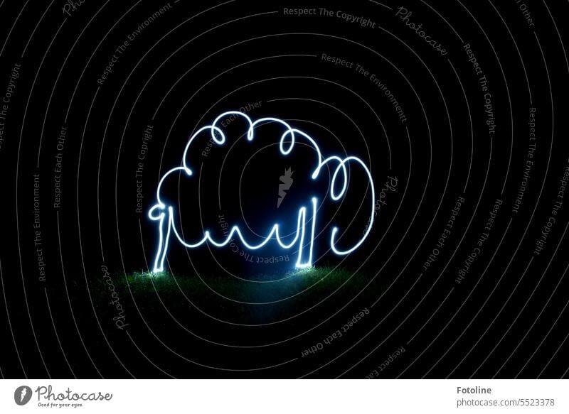 One Line II - Hierfür musste ich ein wenig mehr üben. Aber he, eindeutig ein Schaf! Ist super gelungen oder? ;-) Lightpainting Lichtmalerei Kunst Picasso