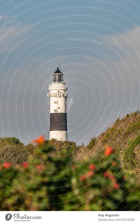 Leuchtturm Langer Christian Nordsee Küste Sehenswürdigkeit Außenaufnahme Ferien & Urlaub & Reisen Farbfoto Landschaft Wolken Tag Wahrzeichen Deutschland