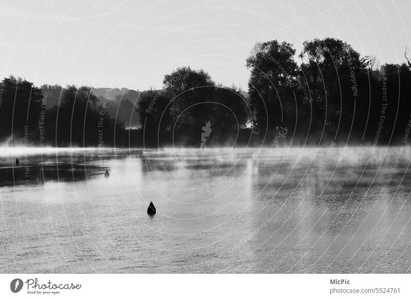 See mit Ufer und Nebelschwaden auf dem Wasser ufer Natur ruhig friedlich Idylle Seeufer Wasseroberfläche Ruhe Bäume Schwarzweißfoto Landschaft mystisch