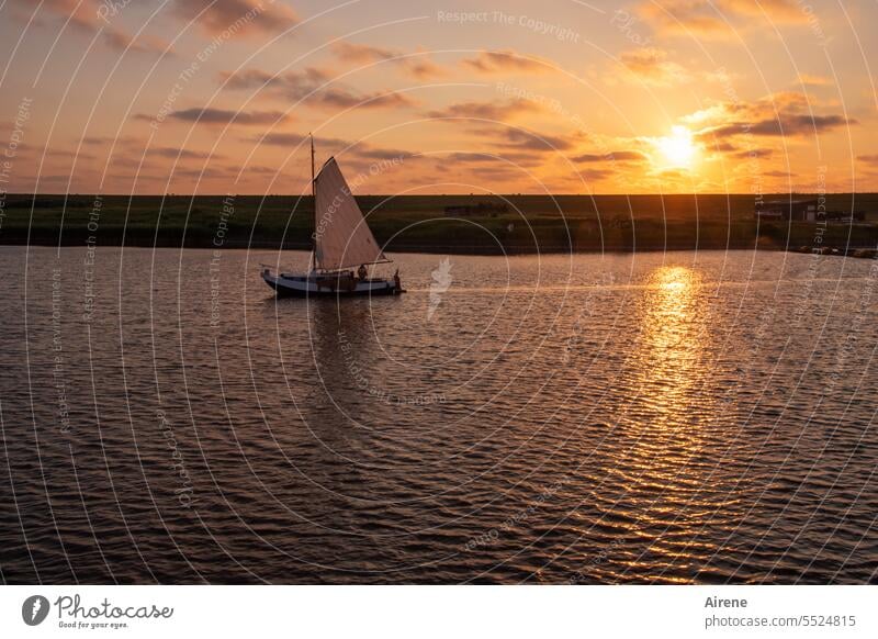 stille Tage Sonnenuntergang Abend Wasser Dämmerung Urelemente Himmel Meer Silhouette Horizont Wolken gold ästhetisch Schönes Wetter schön Abenddämmerung