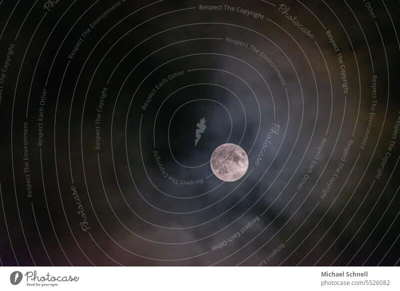 Vollmond und Wolken am Nachthimmel Vollmondnacht Vollmondlicht Mond Himmel dunkel Mondschein Licht Stimmung leuchten Außenaufnahme Lichterscheinung Werwolf