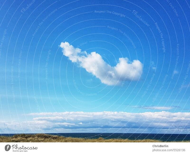 Ostsee-Zeitung Landschaft mit blauem Himmel und weisser Wolke Strand Meer Sand Küste Ferien & Urlaub & Reisen Erholung Sommer Tourismus Wasser Natur