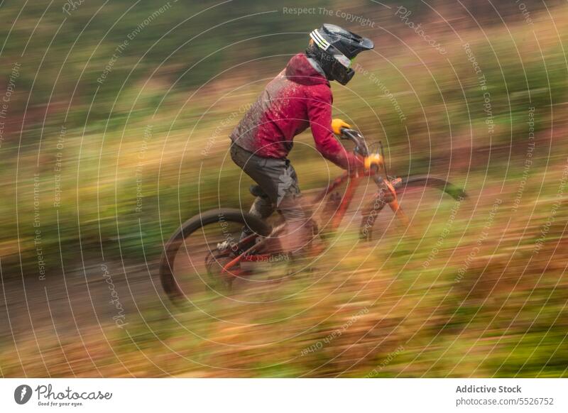 Starker Radfahrer, der auf der Straße im Wald radelt extrem bergab Sportler Fahrrad Lifestyle Berge u. Gebirge schnell Aktivität Abenteuer Mitfahrgelegenheit