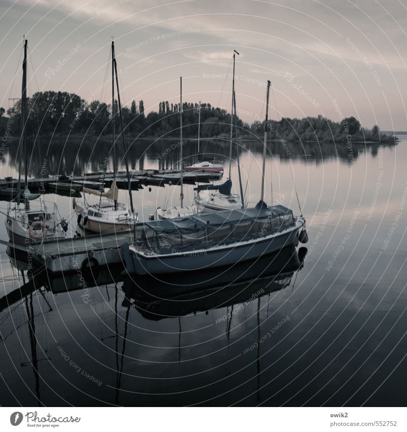 Heimathafen Wasser Himmel Wolken Horizont Klima Wetter Schönes Wetter Seeufer Bucht Insel Schifffahrt Binnenschifffahrt Sportboot Jacht Segelboot Hafen