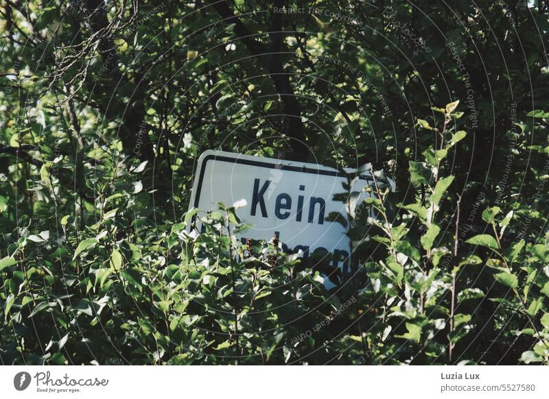 Kein.... was auch immer. Schild ragt nur noch teilweise aus üppigem Grün Beschilderung Hinweis Hinweisschild Schilder & Markierungen Warnschild kein Rätsel