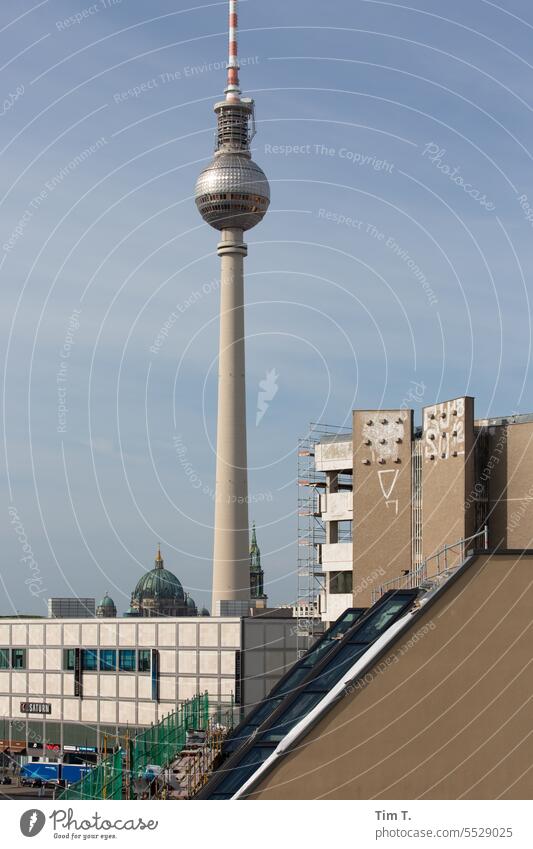 Berlin Mitte Fernsehturm Farbfoto Baustelle Herbst Berlin-Mitte Berliner Fernsehturm Architektur Hauptstadt Stadt Stadtzentrum Sehenswürdigkeit Wahrzeichen