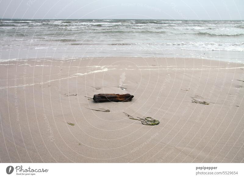 altes Treibholz an Land gespült Treibholzbalken Holz Strand Küste Meer Wasser Natur Außenaufnahme Sand Menschenleer Ferien & Urlaub & Reisen Wellen Horizont