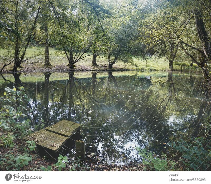 Stilles Wasser Teich See Wasseroberfläche Wasserspiegelung Ruhe geheimnisvoll windstill draußen Totale Ferne Weite glänzend mystisch friedlich Umwelt Landschaft