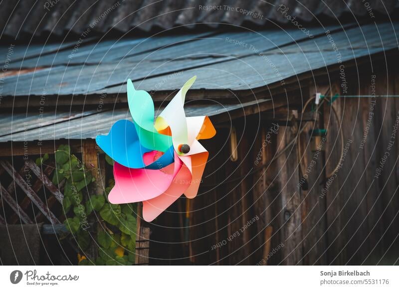 Der Sommer ist vorbei Spielzeug Kinderspielzeug Windrad Windmühle Windrose Garten Herbst Tristesse kinderspielzeug Farbe Kindheit mehrfarbig Freude Spielen rot