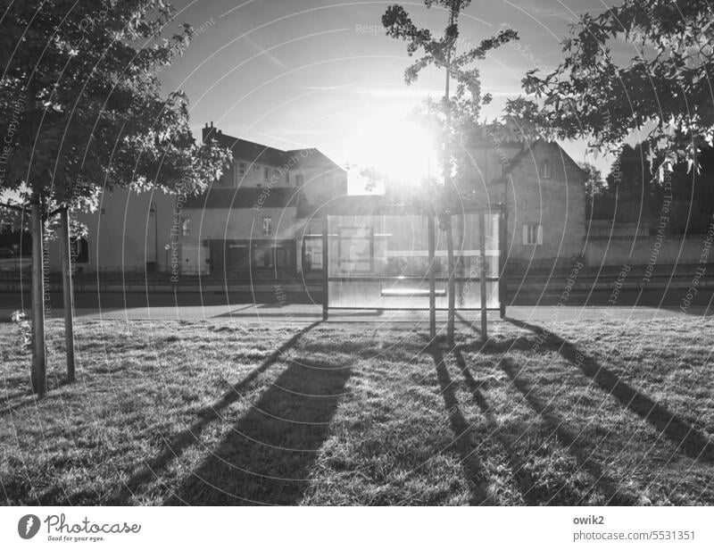 Feierabend Bushaltestelle Schwarzweißfoto Glaswand durchsichtig Außenaufnahme bescheiden leuchten Gegenlicht Panorama (Aussicht) Gebäude Haus Wartehäuschen Baum