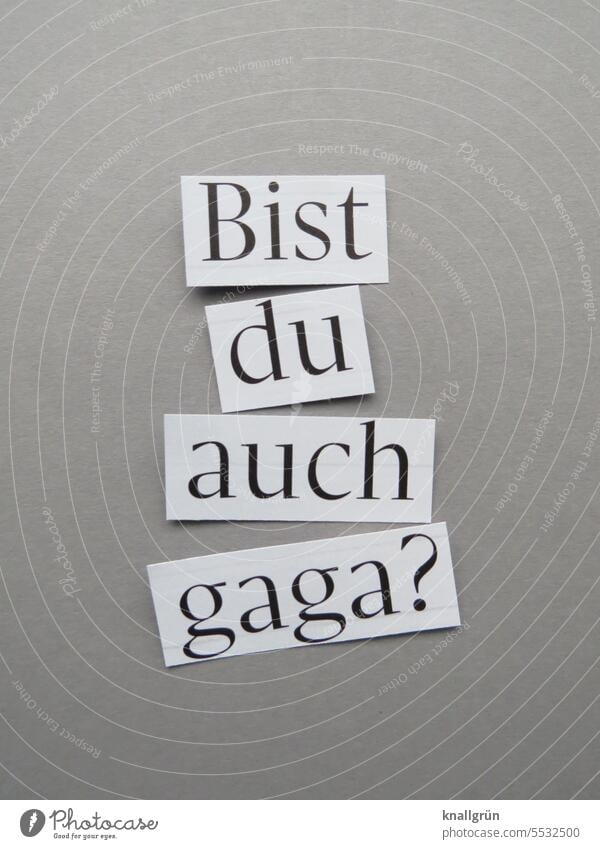 Bist du auch gaga? verrückt kindisch Fragen Fragezeichen bekloppt bescheuert meschugge plemplem fragend ratlos unsicher Irritation Kommunikation Menschenleer