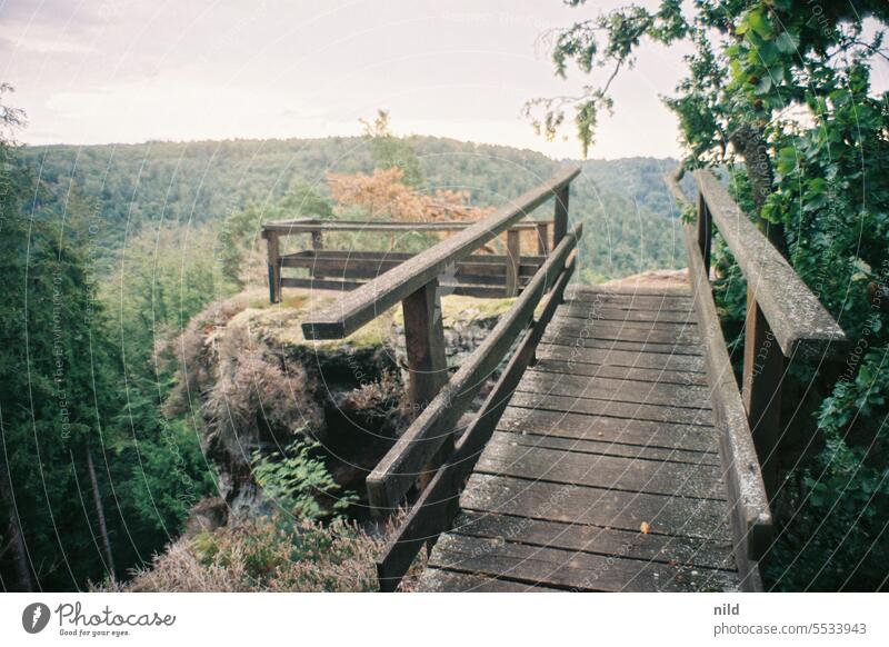 Elsass – Saut du Chien Alsace Frankreich Mittelgebirge Natur ruhig Licht Idylle Farbfoto Außenaufnahme Stimmung Analogfoto Kodak Ferien & Urlaub & Reisen