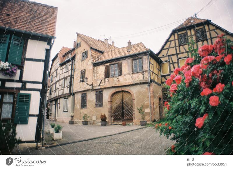 Elsass – Bouxwiller Alsace Frankreich historisch ruhig Licht Idylle Farbfoto Außenaufnahme Stimmung Analogfoto Kodak Ferien & Urlaub & Reisen Sommer Altstadt