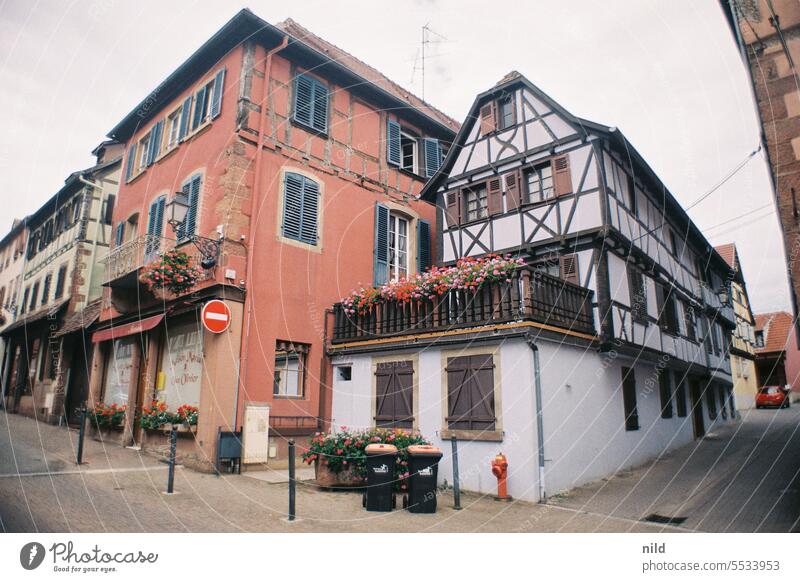 Elsass – Bouxwiller Alsace Frankreich historisch ruhig Licht Idylle Farbfoto Außenaufnahme Stimmung Analogfoto Kodak Ferien & Urlaub & Reisen Sommer Altstadt