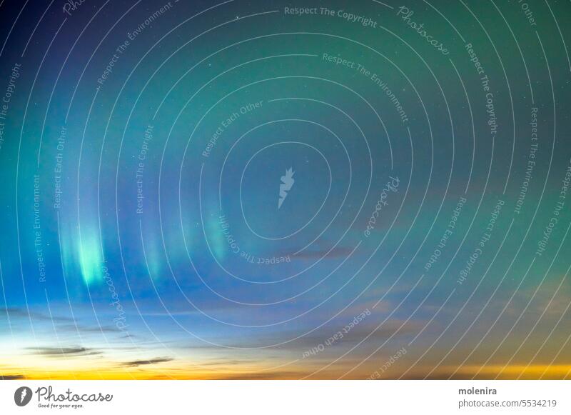 Grüne Aurora borealis am Nachthimmel polar Astronomie nördlich Norden Licht Natur Stern Himmel Nordlicht grün solar Wind leuchten keine Menschen Estland