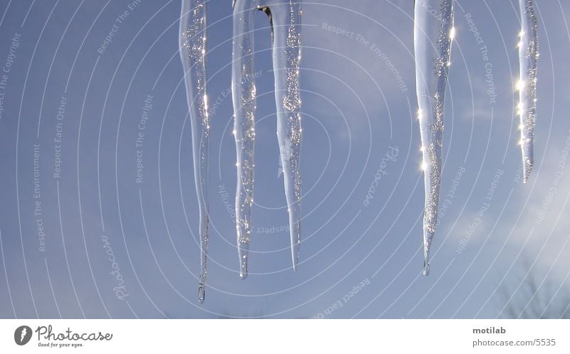 eiNsAMEzapfen Eiszapfen frieren gefroren kalt winter. kälte