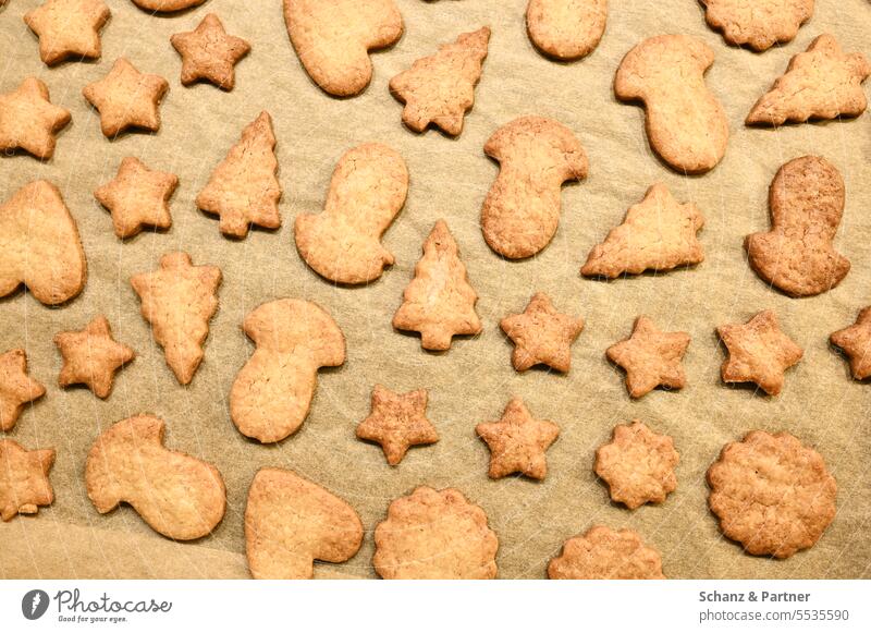 Weihnachtsplätzchen in verschiedenen Formen auf einem Backblech mit Backpapier Weihnachten backen Weihnachten & Advent Plätzchen Weihnachtsgebäck