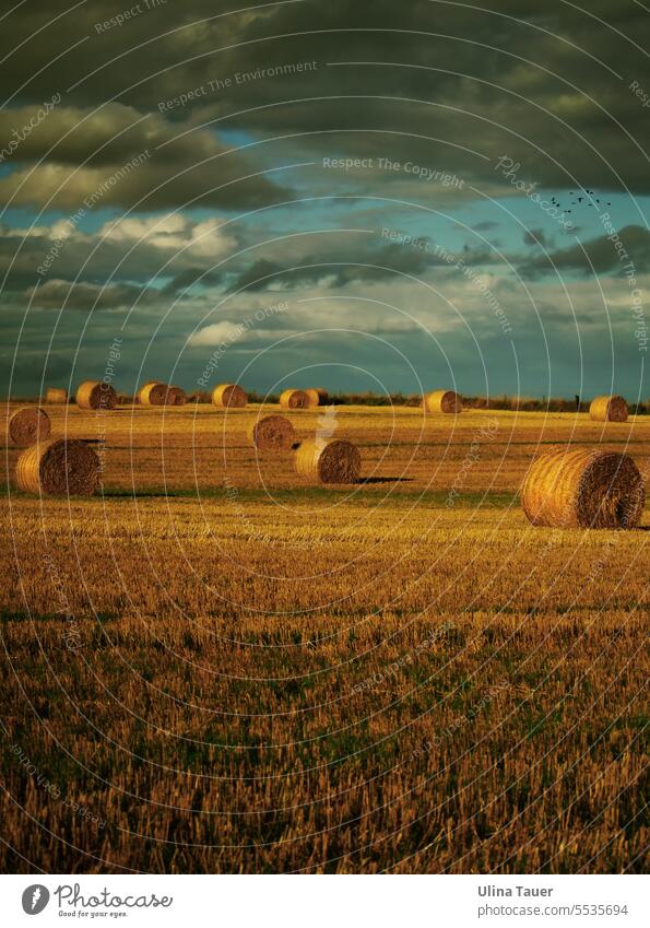 Heuballen auf einem Feld unter dramatischem Himmel Stroh Strohballen Landschaft Landwirtschaft Spätsommer Herbst Wolkenhimmel Ernte Ackerbau orange türkis