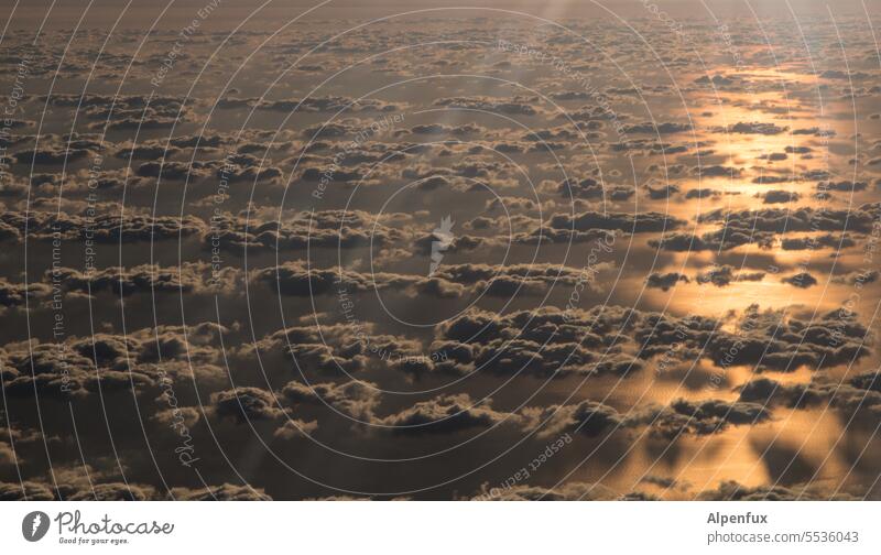 Weichspüler | ganz oben Wolken über den Wolken fliegen Himmel Luftverkehr Ozean Meer Sonnenuntergang Ferien & Urlaub & Reisen Freiheit Ferne Farbfoto