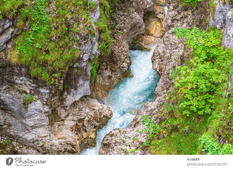 Blick in die Leutaschklamm bei Mittenwald in Bayern Klamm Alpen Gebirge Wettersteingebirge Fluss Wasser Felsen Landschaft Natur Baum