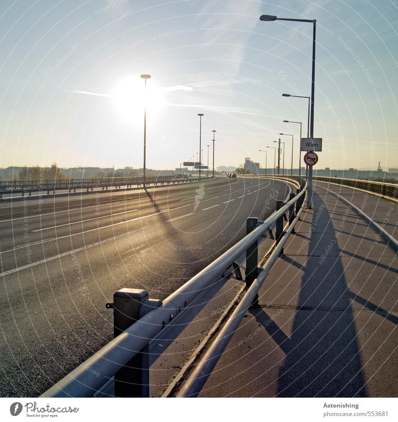 into Vienna Himmel Sonne Sonnenlicht Herbst Wetter Schönes Wetter Baum Wien Stadt Hauptstadt Stadtrand Verkehr Verkehrsmittel Verkehrswege Autofahren Straße