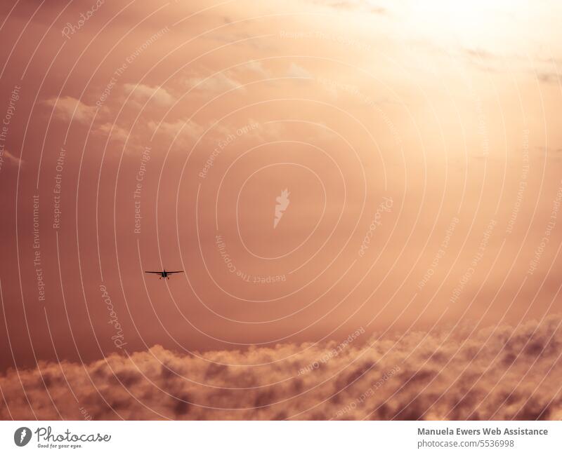 Man sieht ein kleines Flugzeug von hinten wie es in den ruhigen Abendhimmel aufsteigt und in die Ferne fliegt. flugzeug abendhimmel kleine maschine