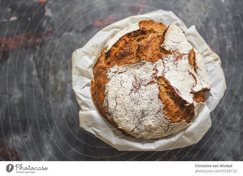 köstliches selbstgebackenes Brot Brotlaib knusprig aromatisch frisch selbstgemacht rustikal Hunger Brotkruste Tag des Brotes Essen Vorfreude Abendessen